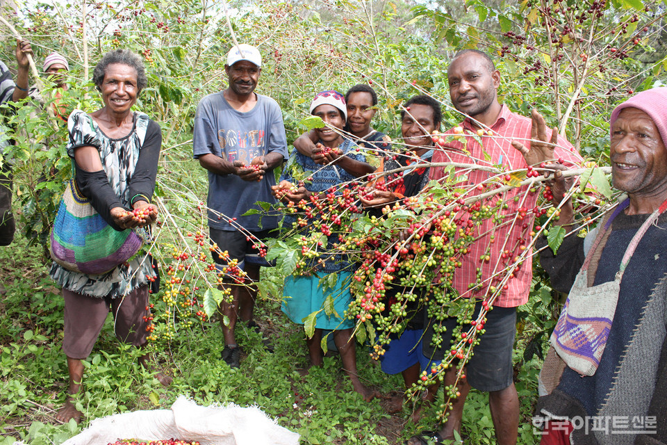 파푸아뉴기니의 커피 농장. 필자가 2011년 출장 간 김에 농장을 돌아봤다.