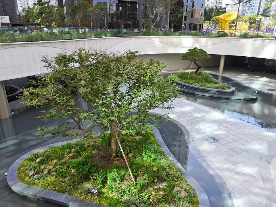 선큰 정원 속 절제된 곡선과 그 위에 놓인 단정한 식재의 디자인