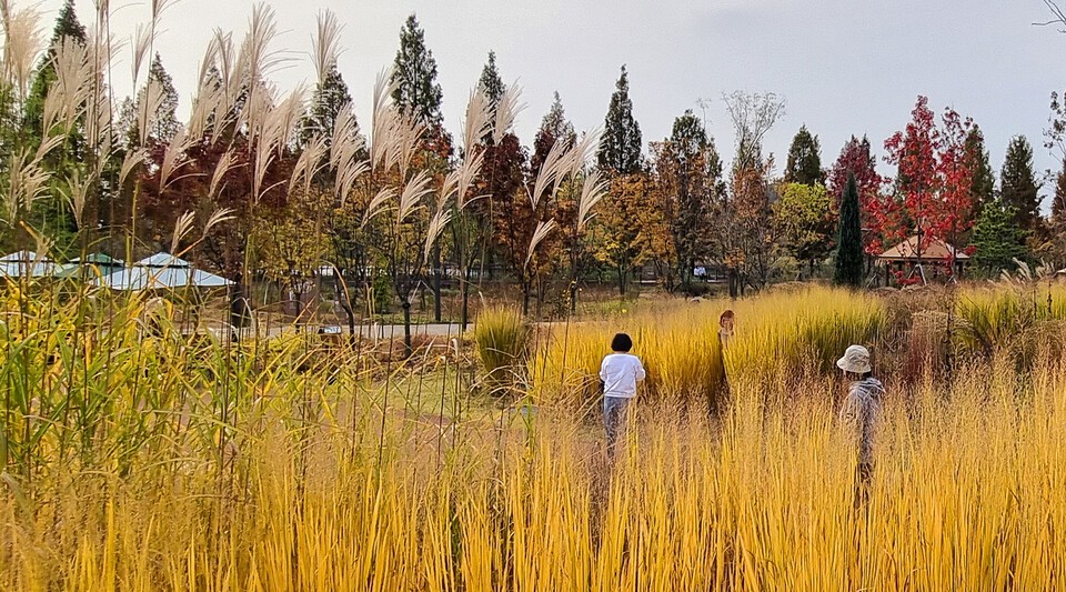 가을이 무르익어 가는 일월수목원