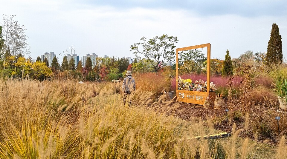 그라스 정원의 가을, 이삭으로 물들다.