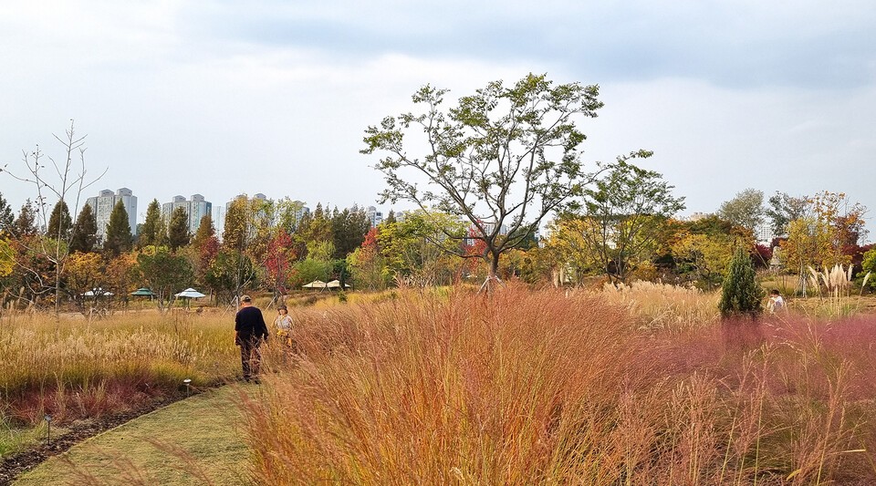 일월수목원 초지원