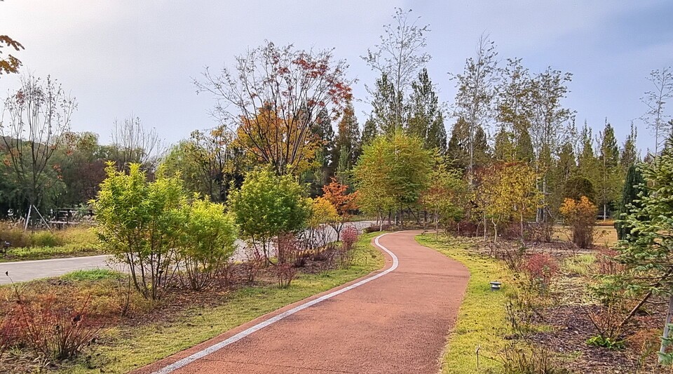 일월수목원 겨울정원