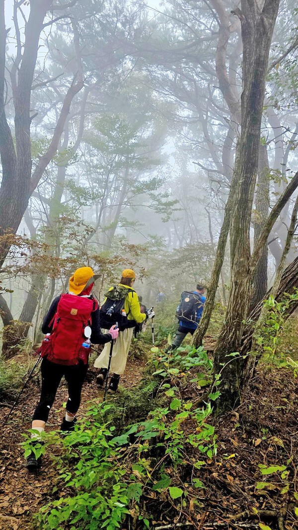 운무에 갇힌 성삼재 가는 길