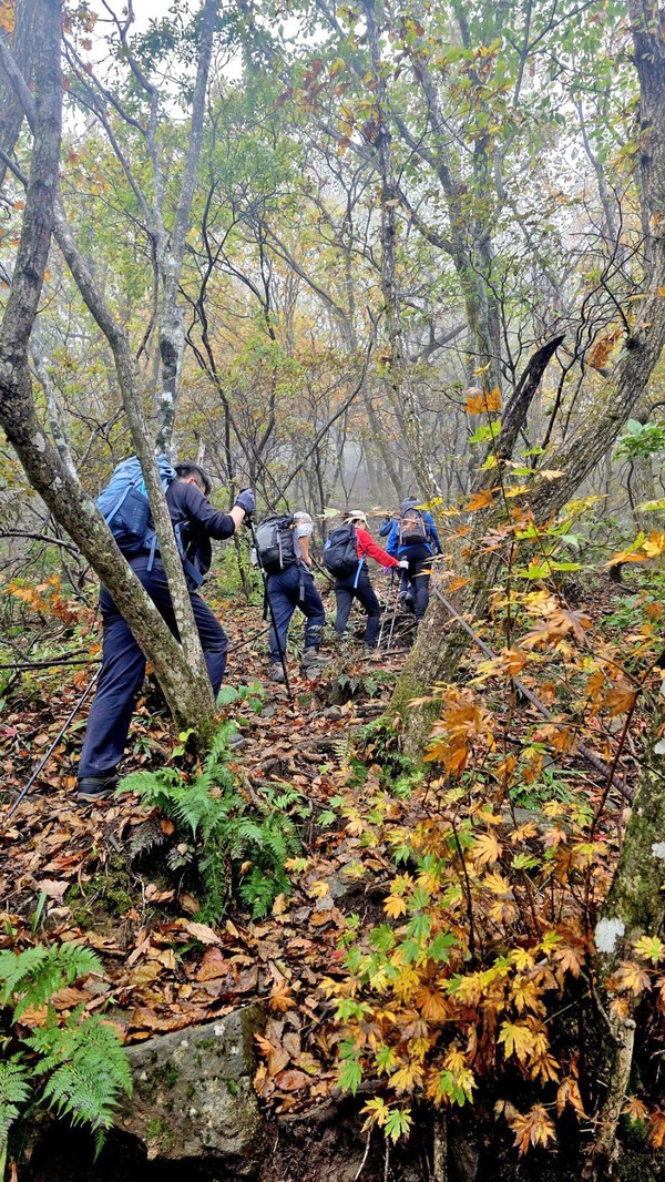 단풍이 물들기 시작한 고리봉 능선을 오르고 있다.