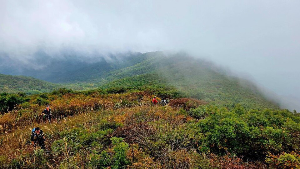 억새가 가득한 능선에 운무가 몰려오고 있다.