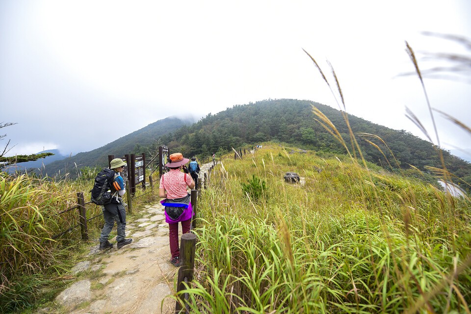 정령치 생태복원지