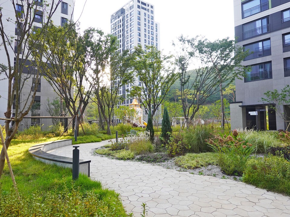 웅장한 느티나무와 다채로운 초화가 어우러지는 정원