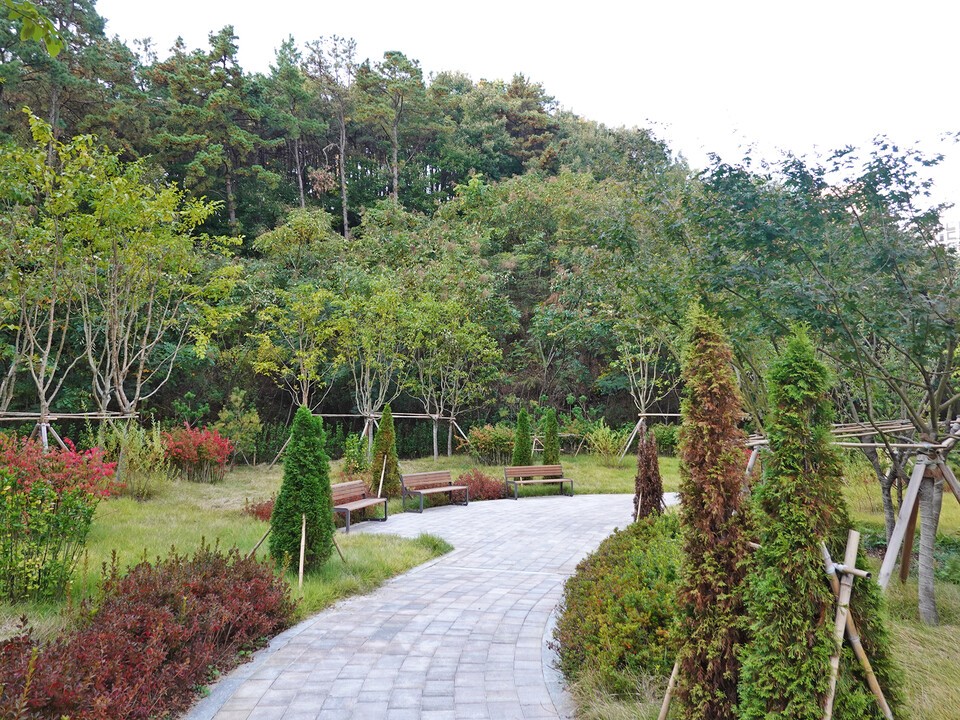 서측 숲을 배경으로 끊임없이 이어지는 산책로와 숲속 휴게공간 