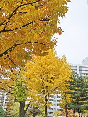 가을, 훅 들이마시자